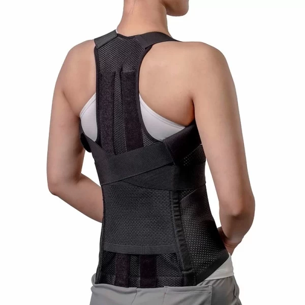 Deluxe Back Support Belt