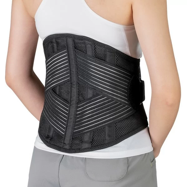 Lumbar Support (High:11")