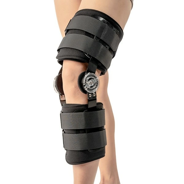 Hinged Knee Support